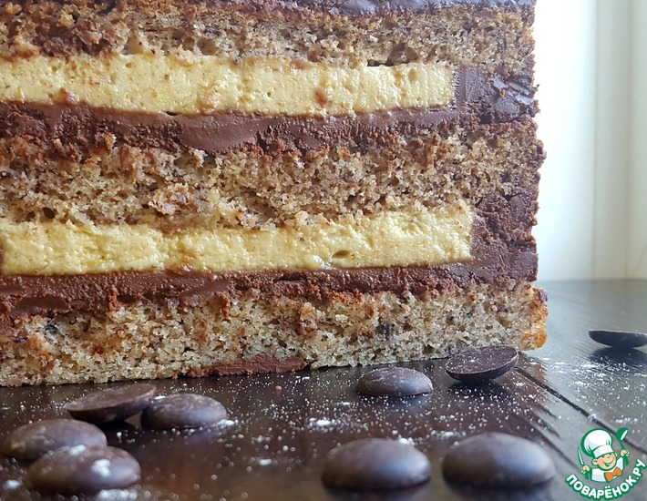 ������: ���� ����� � ��������