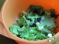 ����� � ������� ������� �����������