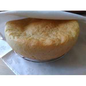 �������� � ����������� � ���������