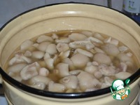 ������������ ����� �� ���� �����������