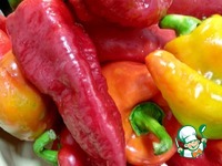 ����� �� ������ ��������� �����������