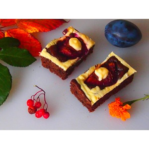 �������� ����� "����������"