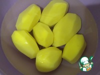 ���� � �������� �����������