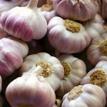 ������ �����