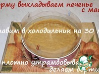 ������� � �������� �����������