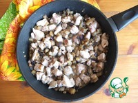 ���������-������� �����������