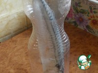 ������ �������� ��� �������� �������� �����������