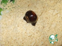 ������� "���������� ������" �����������