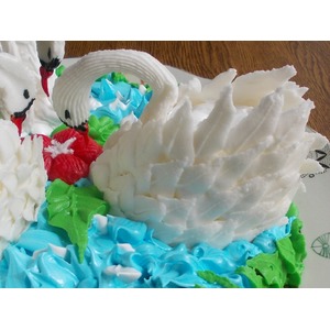 ����� ��� �������� "������"