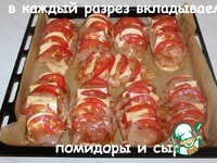 ������, ���������� � ���������� � ����� �����������