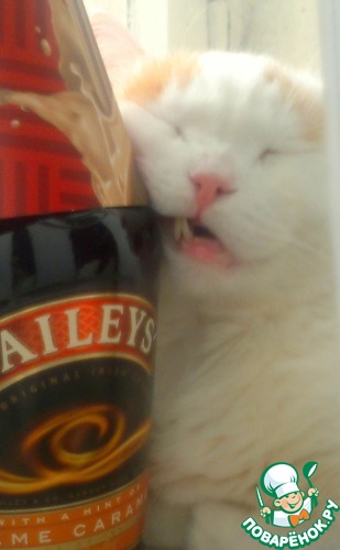 ����� ���� ����� ������