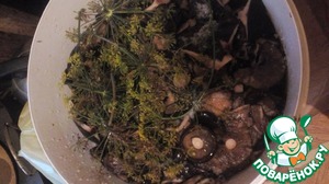 Ð ÐÑ†ÐÐ¿Ñ‚: ÐÐÑ€Ð½Ñ‹Ð Ð³Ñ€ÑƒÐÐ´Ð¸ ÑÐ¾ÐÐÐ½Ñ‹Ð