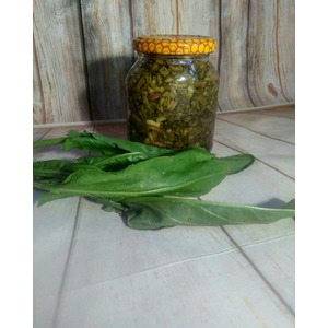 ������ �������