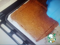 ���� "�����" �����������