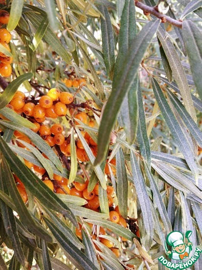 ������� ��������� - ���� �����!