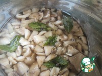 ������� ������ ������� �������� �����������