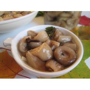 ������� ������ ������� ��������