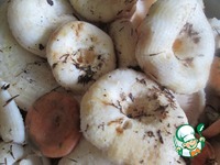 ������� ������ ������� �������� �����������