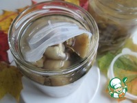 ������� ������ ������� �������� �����������