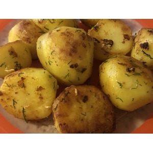 ��������� ������� ���� ����������