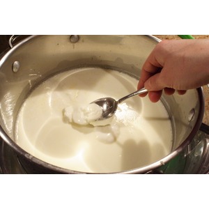 ���� ������