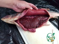 ������������ ������� ���� "�����������" �����������