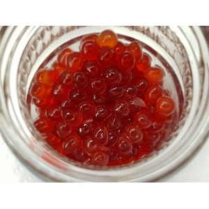 ������������ ������� ���� "�����������"