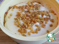 ������ � ����-���������� �� �������������� ����� �����������