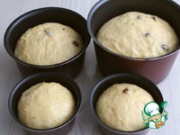 ����� � ������������ ������ �� ������� �����������