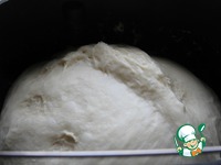 �����-������ �� �������� ����������� �����������