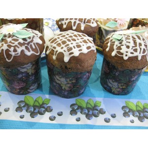 ���������� ����� "����-�������"