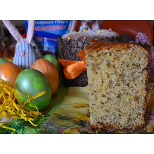 �������-������� �����