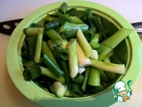 ������ ���� �� ��������-�������� ������ �����������