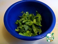 ������ ���� �� ��������-�������� ������ �����������