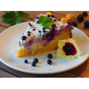 ������� ��������� �����