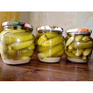 ������ ��-���������