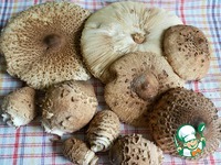 ������� ����� "�������" � ����� �����������