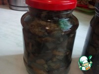 ������������ ����� �� ���� �����������