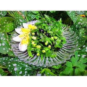 ����� � ������� ���������