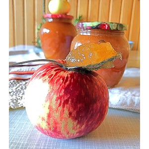 �������� ���� "������� �������"