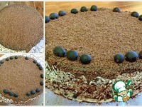 ���� ����������������� ����������� ������ �����������