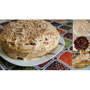 ���� "�������� �����������"