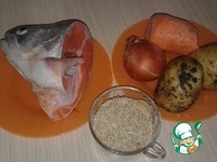 ������ ��� �����������