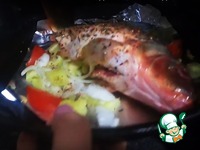 ���� � ������� �����������