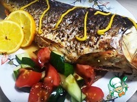 ���� � ������� �����������