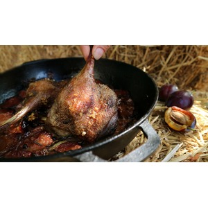 ������ ����� �� �������