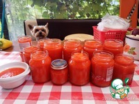 ������-������ ���� � ��������� �����������