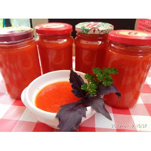 ������-������ ���� � ���������