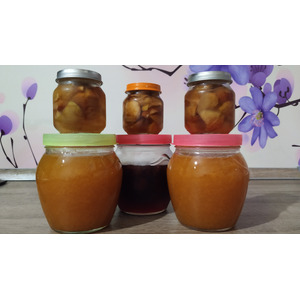 ���� � �����������