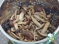 ������������ ����� � ����������� ����� �����������